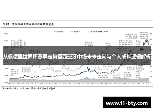 从佩德里世界杯赛季走势看西班牙中场未来走向与个人成长逻辑解析